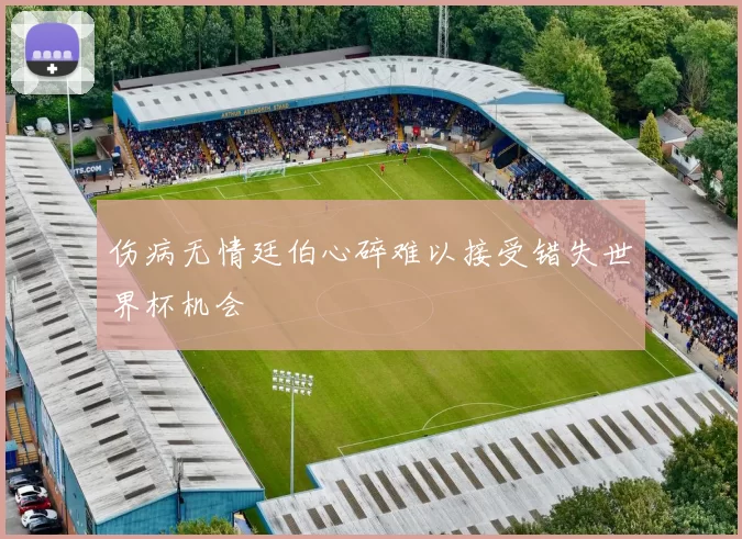 伤病无情廷伯心碎难以接受错失世界杯机会
